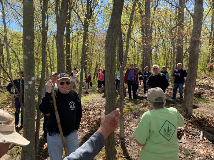 (Credit: D. Buckley)