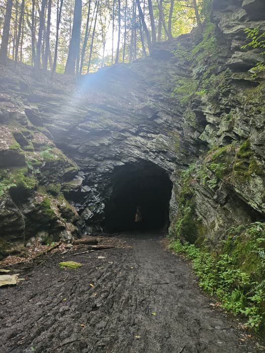 (Credit: Laura Kelly)