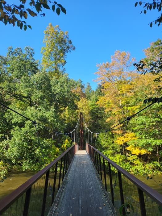 wooden Thoreau bridge over Shepaug River amid a bright spring forest