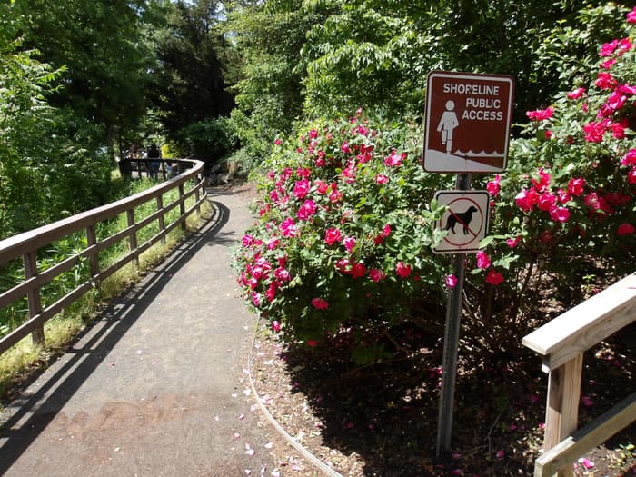 Library Riverwalk and Levitt Pavilion