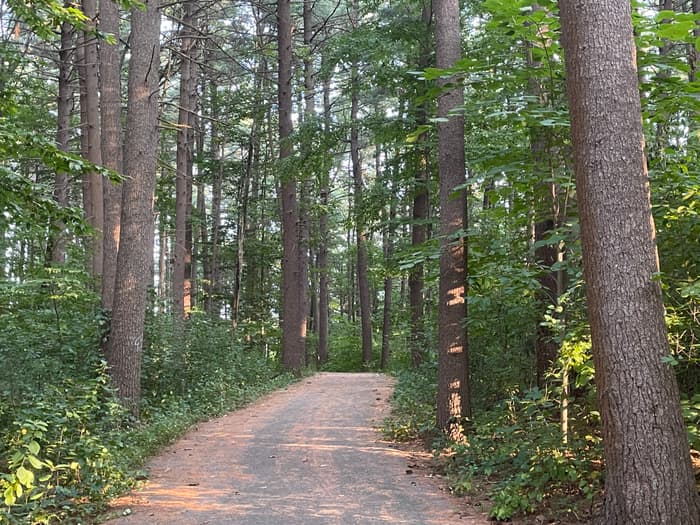 greenway through green woods (Credit: John Bolduc)