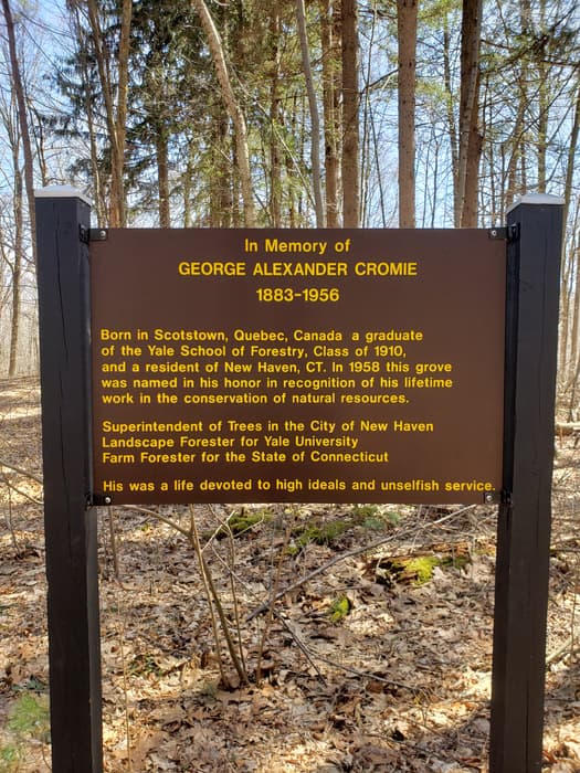 G. Cromie Memorial sign (Credit: G. Milne)