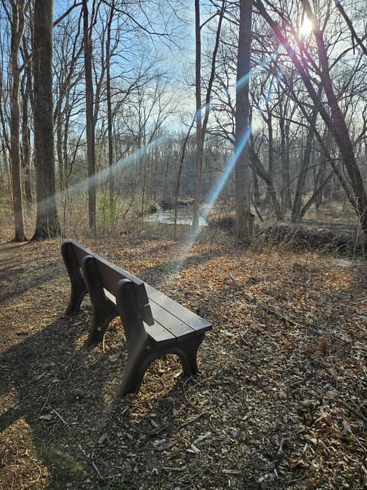 Scantic River State Park - Broad Brook