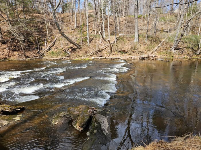 flowing river (Credit: Laura Kelly)