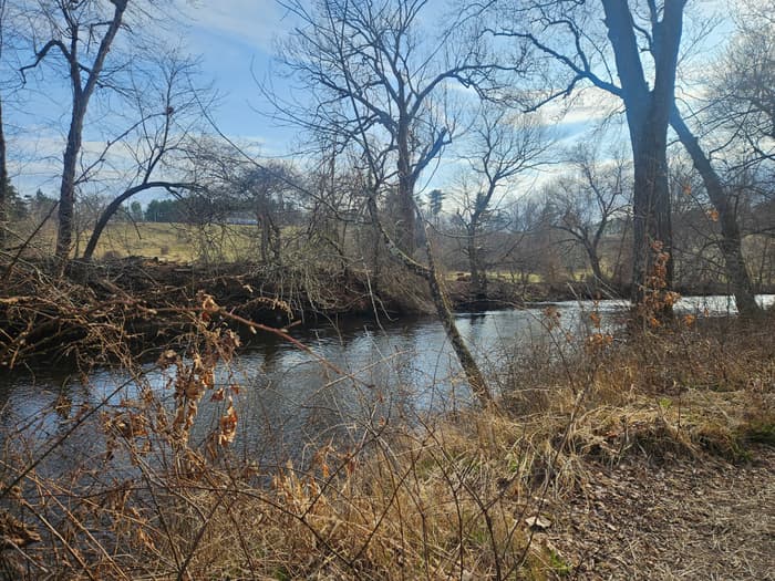 bend of the river with fields beyond (Credit: Laura Kelly)