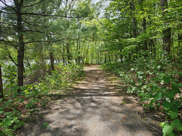 Northwest Park