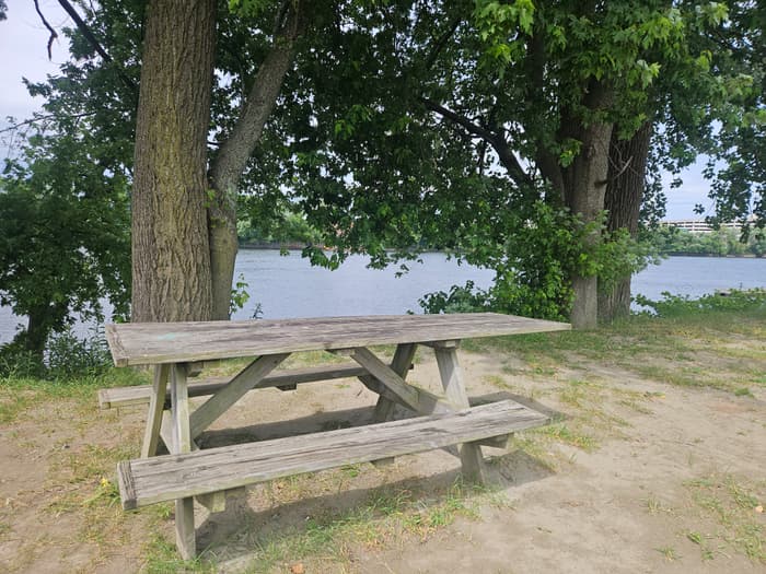 picnic table (Credit: Laura Kelly)