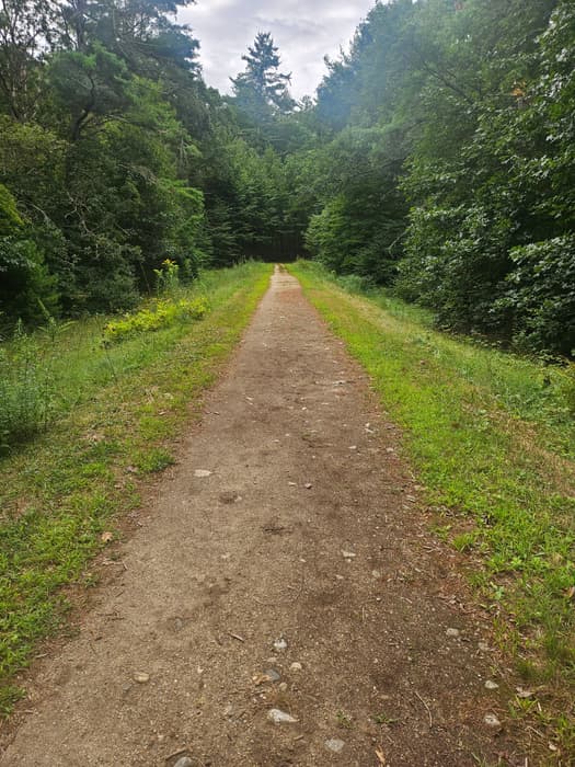Mansfield Hollow State Park