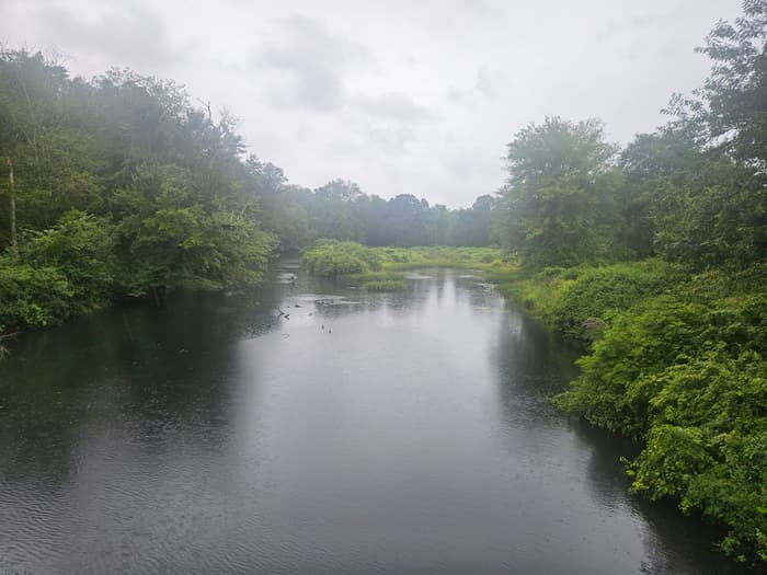 Willimantic River from Plains Road Bridge in Mansfield