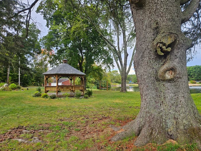 Crandall Park