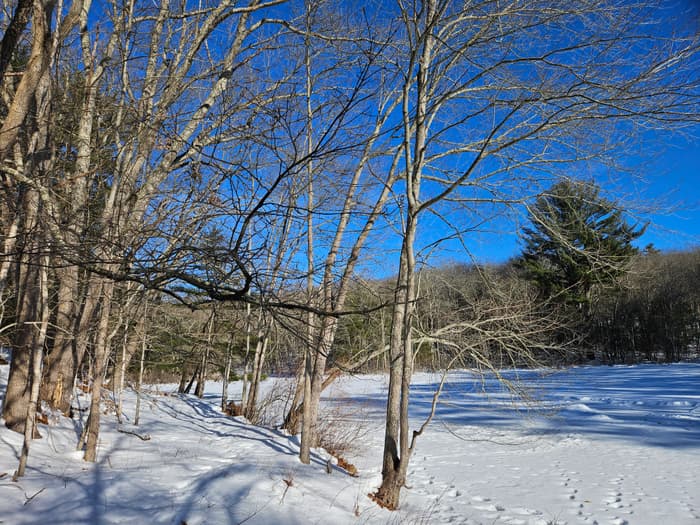 North Eagleville Tract