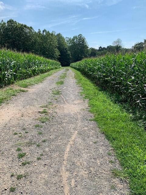 Three Rivers Trail