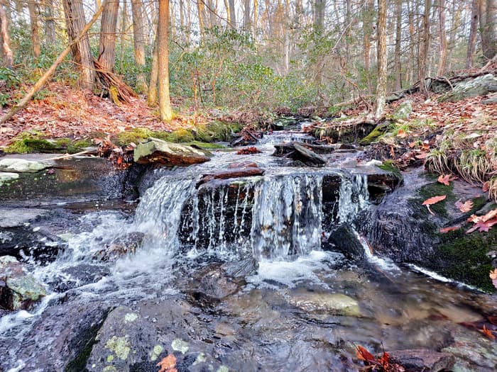 Near cascading waterfall (Credit: Joe Lanier)