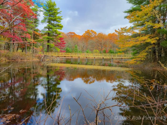 Mill Pond Way