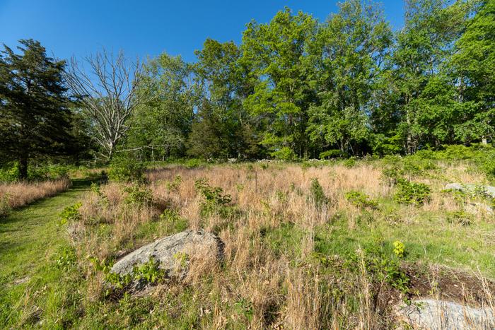 Hubbard Sanctuary & Agnes' Pasture