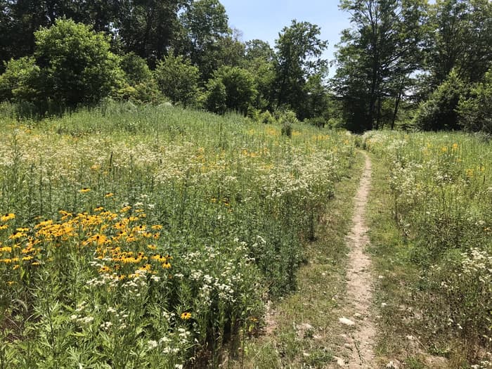Avery Farm Nature Preserve