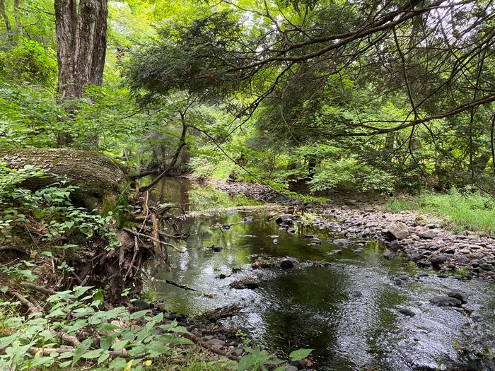 Ayers Preserve
