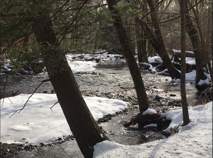 Ayers Preserve
