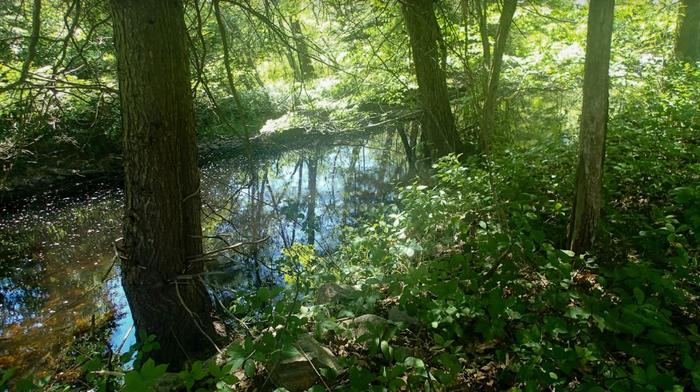 Ayers Preserve