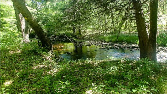 Ayers Preserve