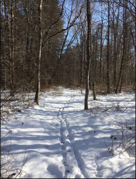 Ayers Preserve