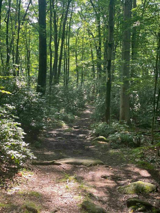 Harriet Babcock Preserve