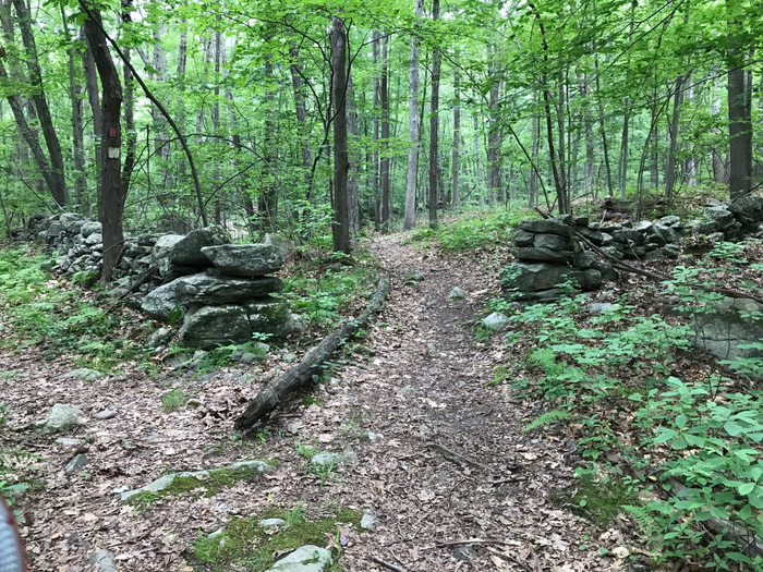 Harriet Babcock Preserve