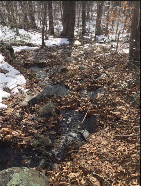 Ballahack Preserve