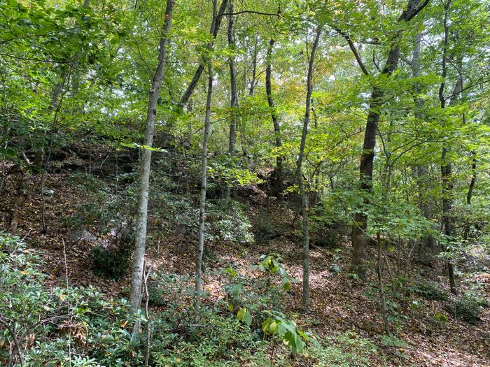Ballahack Preserve