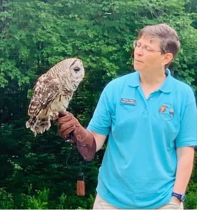 a barred owl with its handler in an educational program (Credit: Linda Anderson)