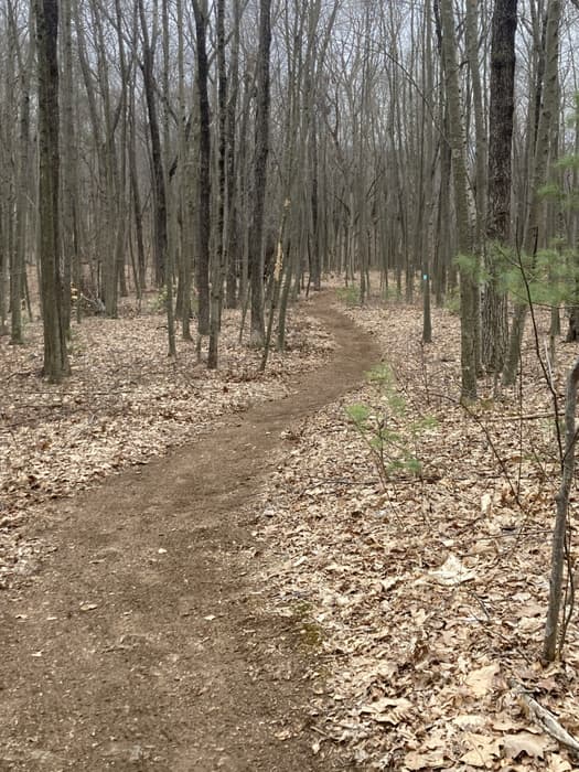 wooded dirt trail on the property (Credit: Linda Anderson)