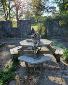 Bear Mountain Reservation
