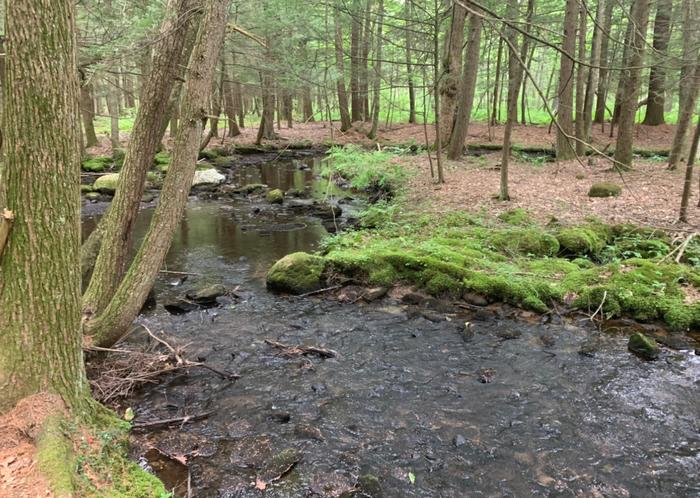 Iron Mine Valley Preserve