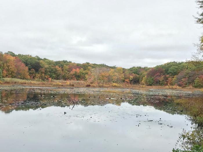 Beebe Pond (Credit: Kim Bradley)