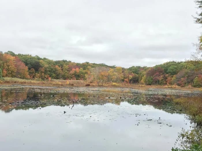 Beebe Pond Park (Credit: Kim Bradley)