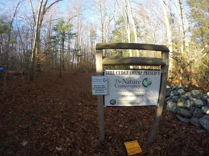 Bell Cedar Swamp - Appleton Preserve
