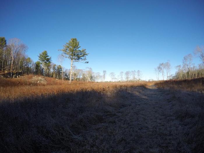 Bell Cedar Swamp - Appleton Preserve