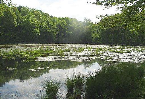 Bennett's Pond State Park