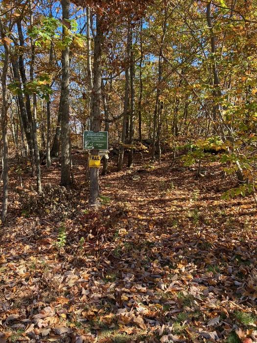 Big Tree Trail entrance from Chelsea Circle