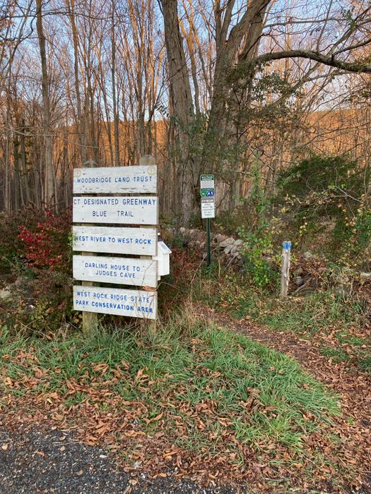 (Credit: Roadside north of Darling House)