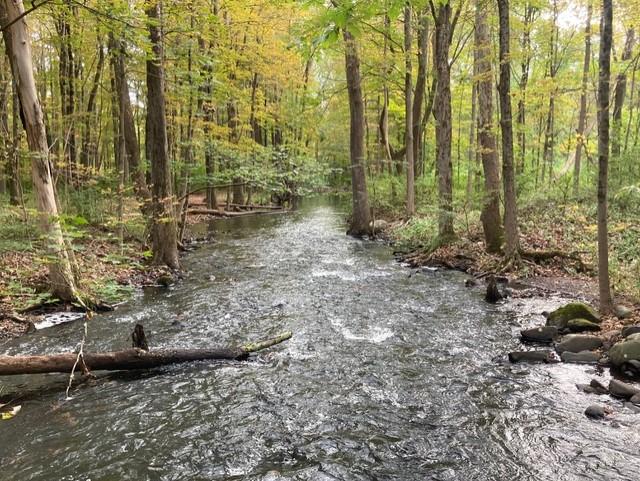 Bishop Estate East and Darling House Trails (Woodbridge Greenway)