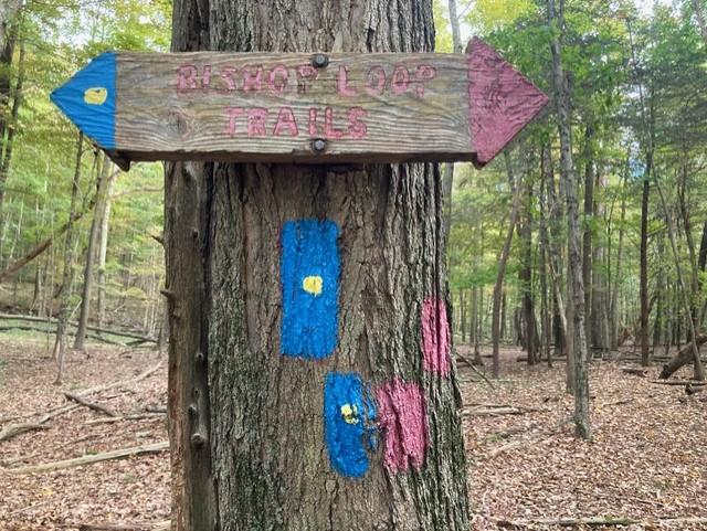 Blue&amp;Yellow blace through RWA land - Red on Bishop East