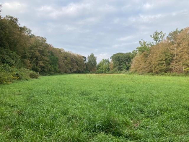 Bishop Estate East and Darling House Trails (Woodbridge Greenway)