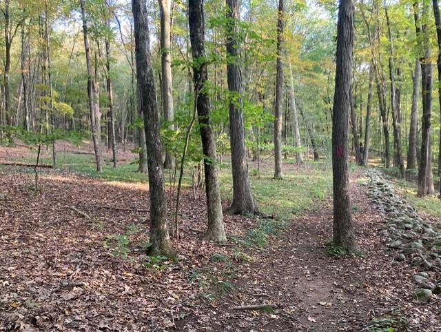 Bishop Estate East and Darling House Trails (Woodbridge Greenway)