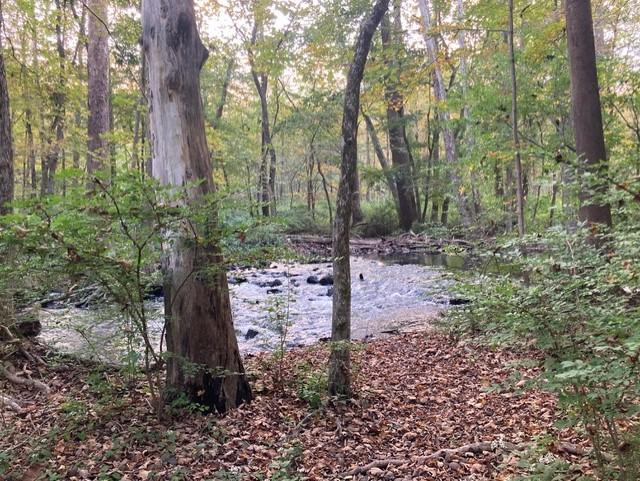 Bishop Estate East and Darling House Trails (Woodbridge Greenway)