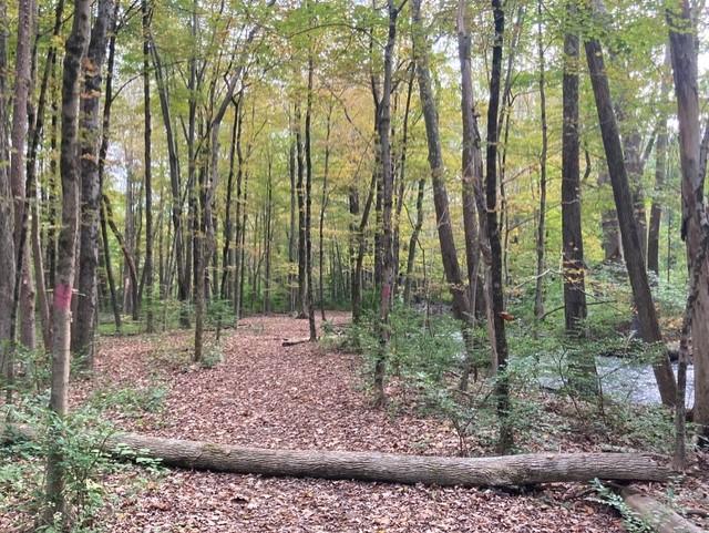 Bishop Estate East and Darling House Trails (Woodbridge Greenway)