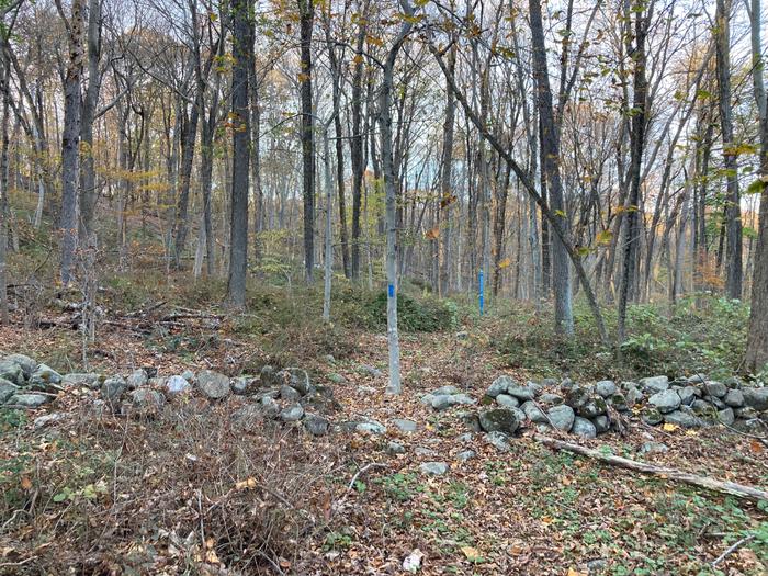 blue blazed trail (Credit: AK/ Trail Finder staff)