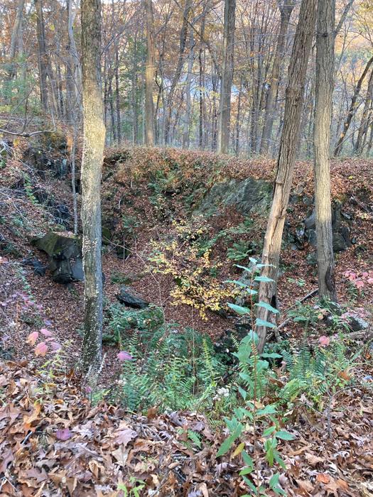 ridge above Lake Dawson (Credit: AK/ Trail Finder staff)