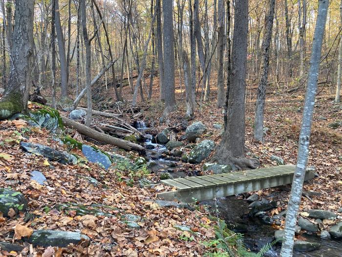 bridge (Credit: AK/ Trail Finder staff)