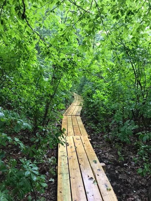 Ansonia Nature Center Trails